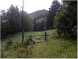 Črnivec - Vivodnik